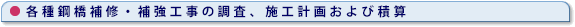 各種鋼橋補修・補強工事の調査、施工計画および積算 